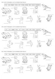 English Worksheet: PETS