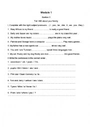 English Worksheet: module 1 section 1