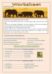 English Worksheet: elephants