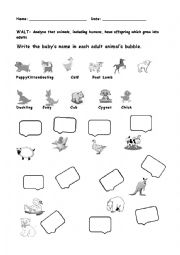 English Worksheet: identify living beings and their young ones