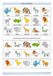 Animals worksheet