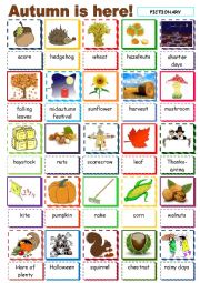 English Worksheet: Autumn is here