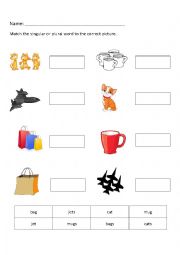 English Worksheet: Singular or Plural