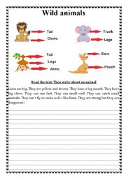 English Worksheet: Wild animals