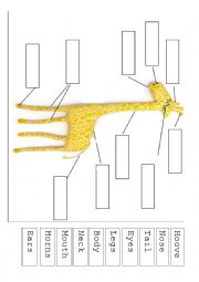 English Worksheet: The giraffe cant dance parts of the body