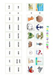 Flashcards - sorting of pictures / 8