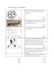 Fly Away Home Worksheet 3