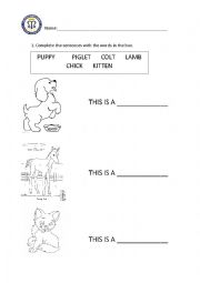 English Worksheet: Baby animals