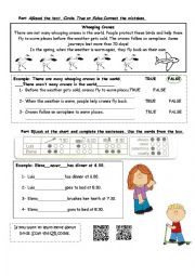 English Worksheet: ADVERBS OF FREQUENCY