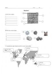 Personal identification, numbers, colours