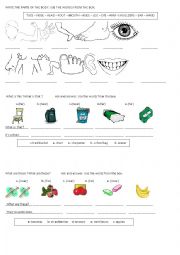 English Worksheet: PARTS OF THE BODY -DEMONSTRATIVE PRONOUNS