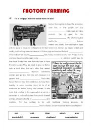 English Worksheet: Factory Farming