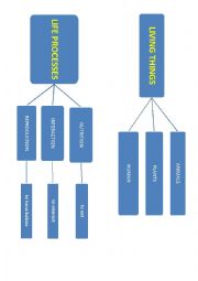 living things mind map