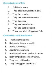 characteristics of fish