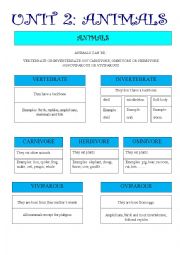 English Worksheet: mind map about animals