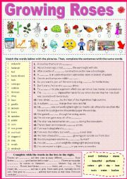 English Worksheet: Growing Roses