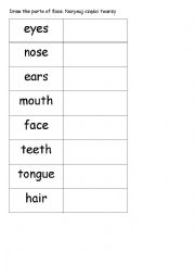 English Worksheet: Drawing the parts of face