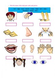 English Worksheet: Body part exercise for children