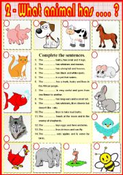 English Worksheet: 2. What animal has ?