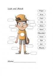 English Worksheet: vocabulary-My Body