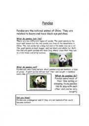 Panda information text