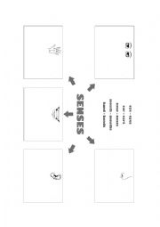 English Worksheet: Senses - association diagram