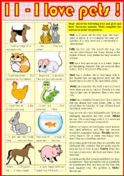 English Worksheet: 11. I love pets !