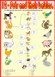 English Worksheet: 12. Pets and their babies.
