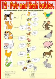 English Worksheet: 12. Pets and their babies.