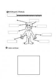 Parts of the body- test