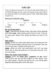 Plant life lesson with worksheets