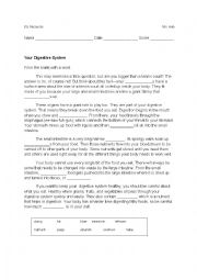 English Worksheet: Your Digestive System