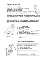 English Worksheet: The Saint Bernard Dog