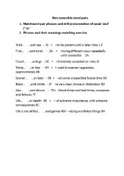 English Worksheet: International Space Station Article, Non-reversible Word Pairs