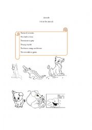 Revision Animals