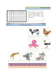 English Worksheet: Describing animal