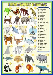 English Worksheet: Endangered animals : matching