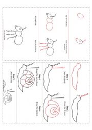 English Worksheet: Insects drawing