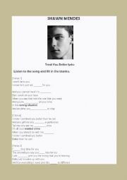 English Worksheet: Shawn Mendez