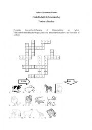 English Worksheet: crossword animal