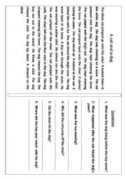 English Worksheet: Collection of Reading Comprehension Passages from Informational and Literary topics for ELEMENTARY and BEGINNER Learners