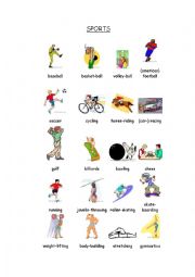 English Worksheet: Sports