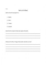 English Worksheet: Parts of a plant