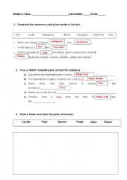 English Worksheet: Plants