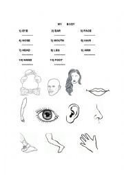 English Worksheet: Parts of the body