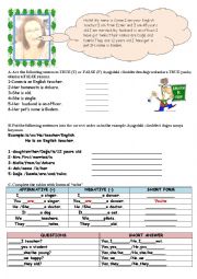 English Worksheet: verb to be homework 