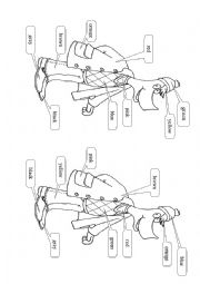 English Worksheet: Colour the picture