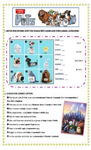 English Worksheet: Film: The Secret Life Of Pets