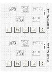 English Worksheet: My five Senses