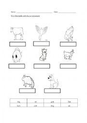 English Worksheet: animal worksheet